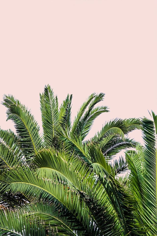 Tropical Leaves on Blush II