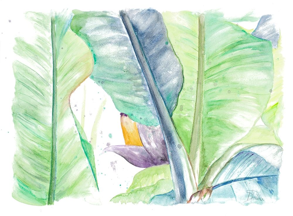 Fresh Banana Plantain