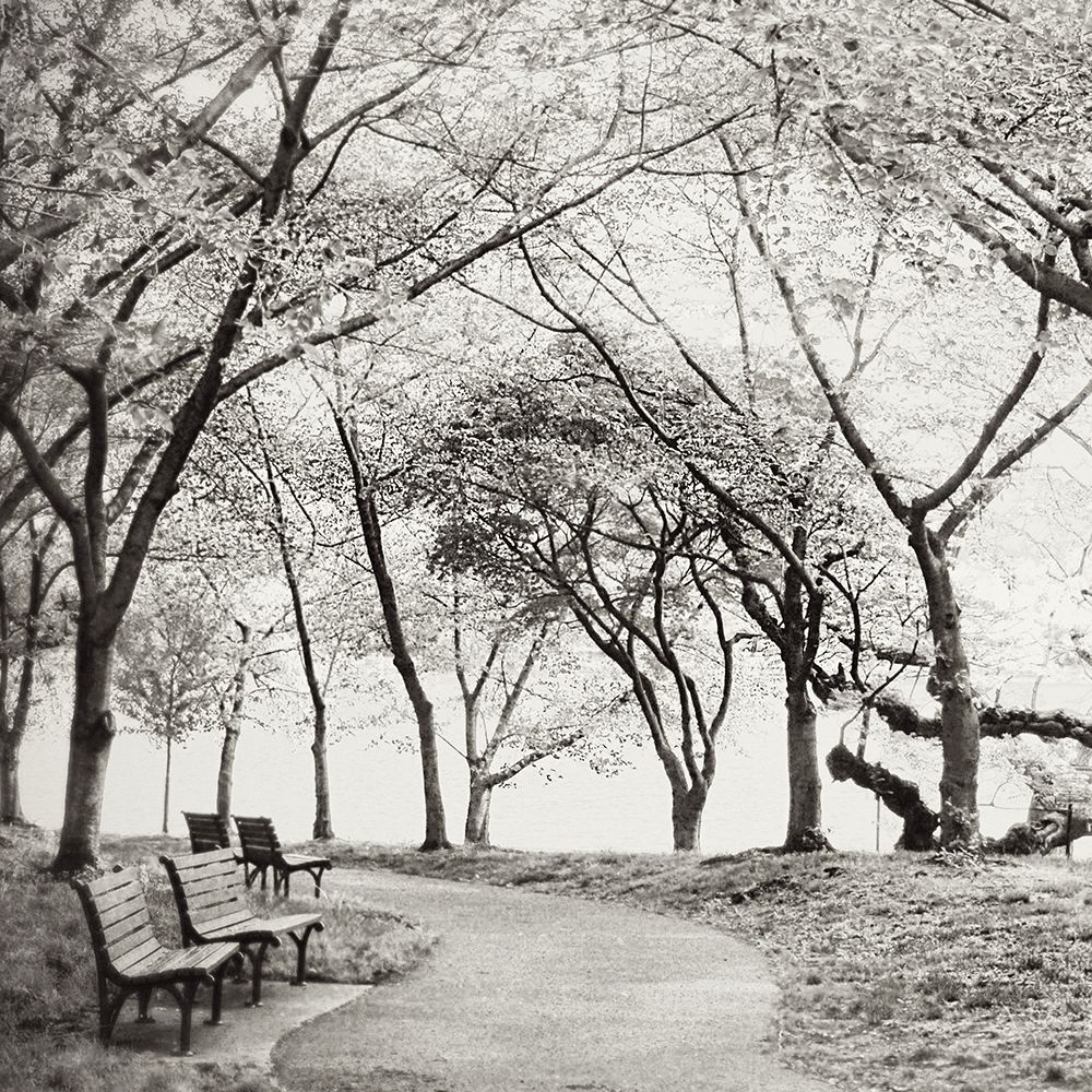 Virginia Park Walk
