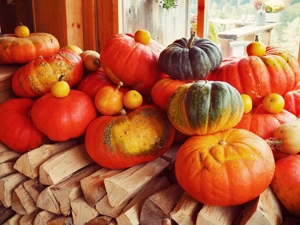 Pumpkins over Wood