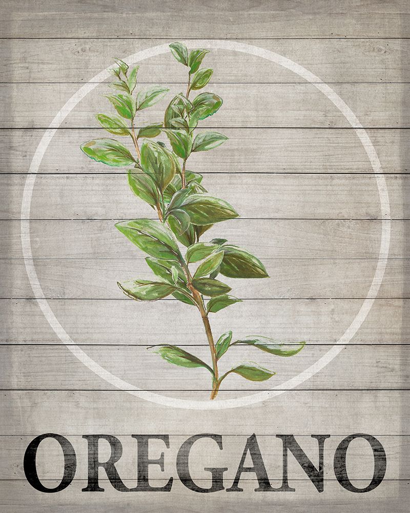 Fresh Herbs on Wood V