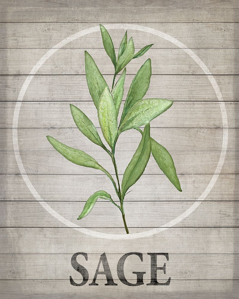 Fresh Herbs on Wood III