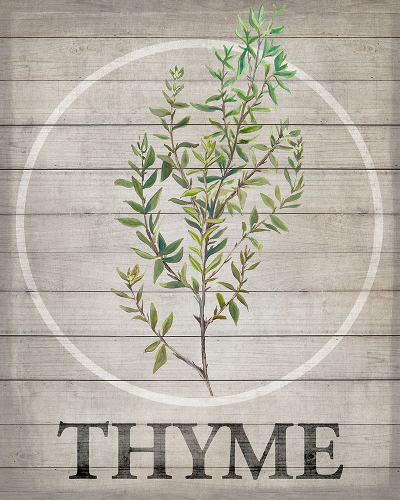 Fresh Herbs on Wood IV
