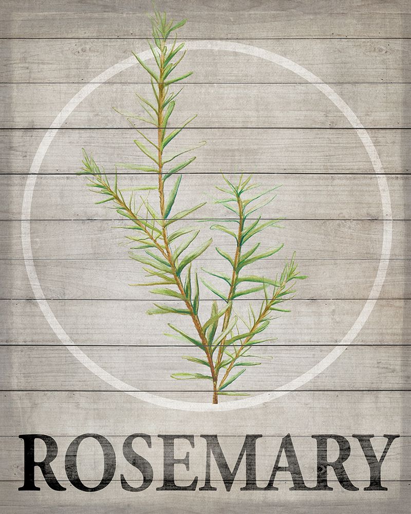 Fresh Herbs on Wood II