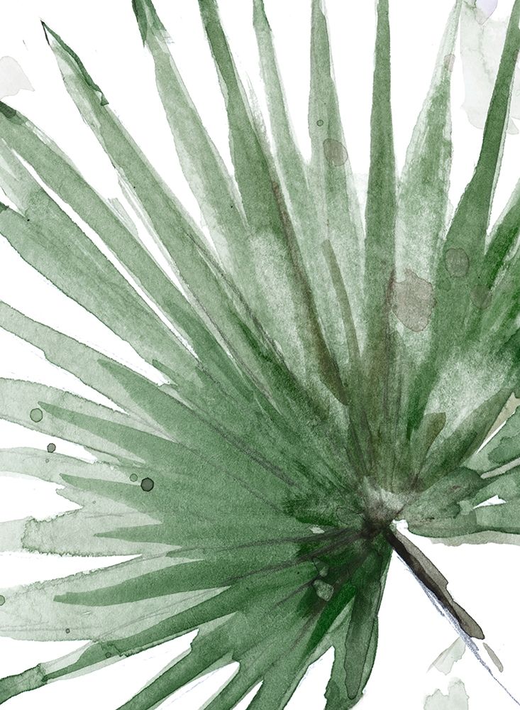 Palma Verde Close Up