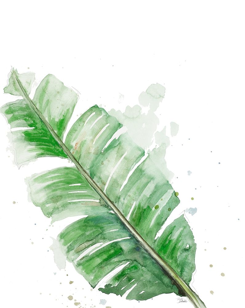Palm Frond III