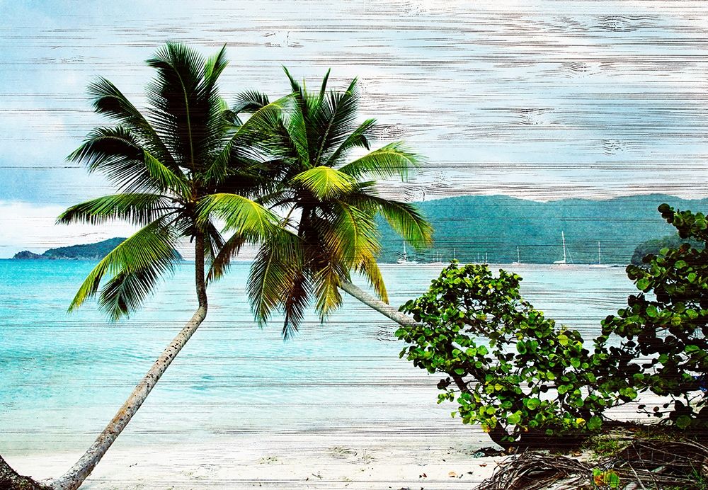 Hanging Palms on Wood