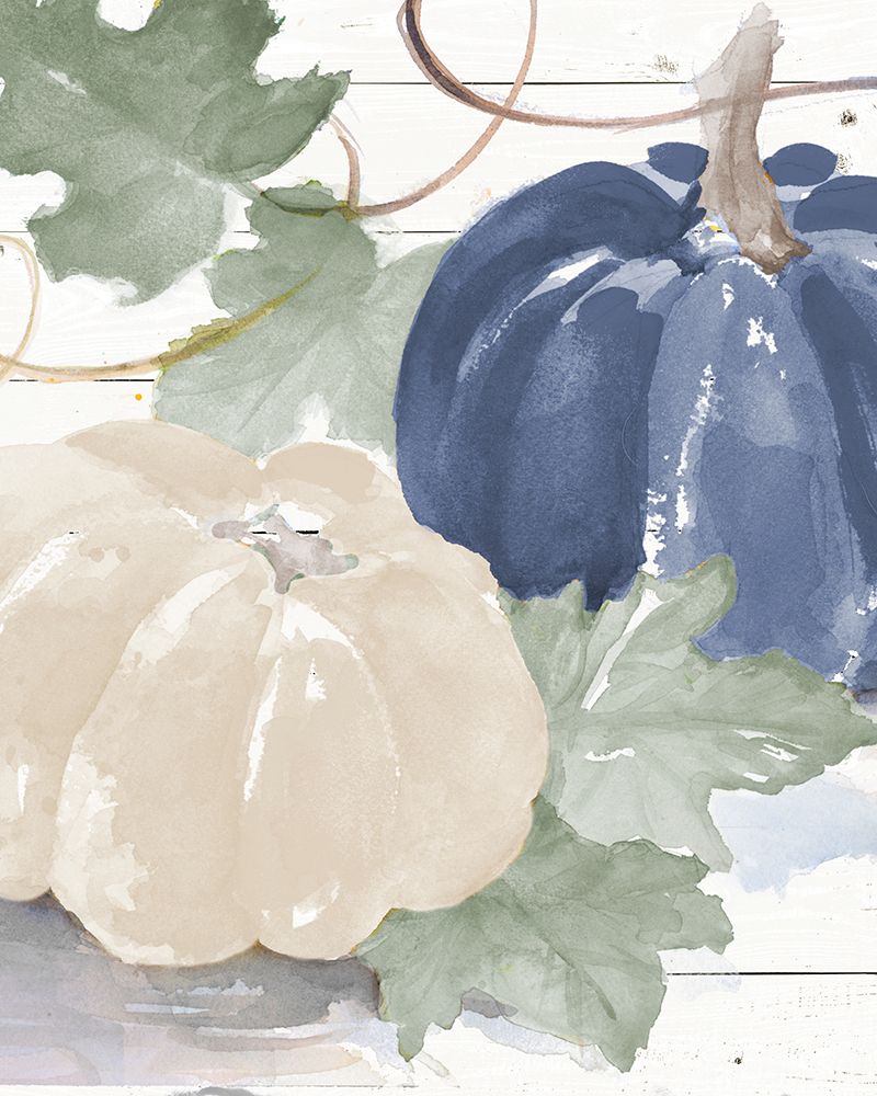 Blue And White Pumpkins