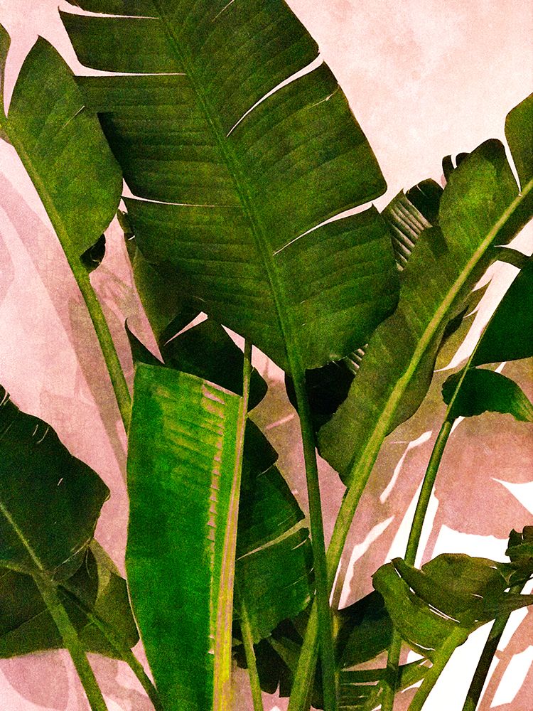 Emerald Palm