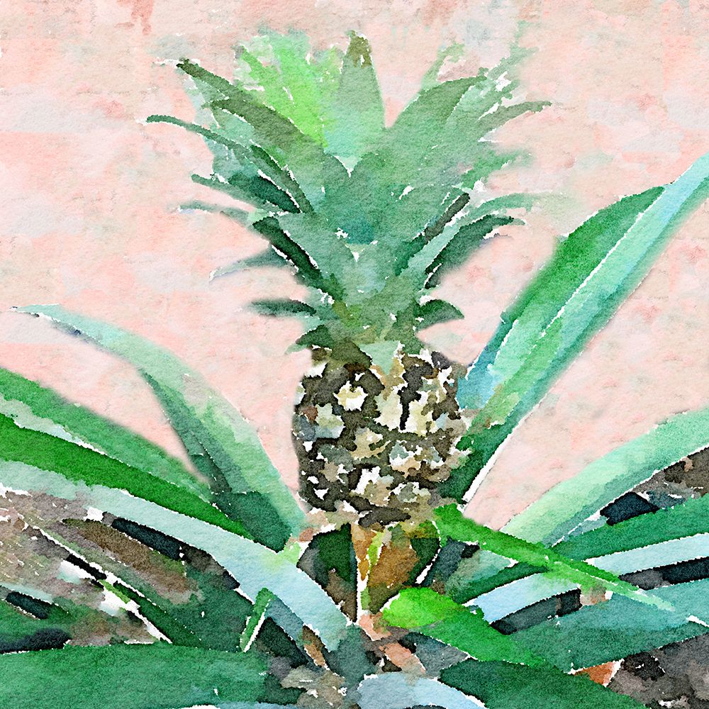 Pineapple Sprout