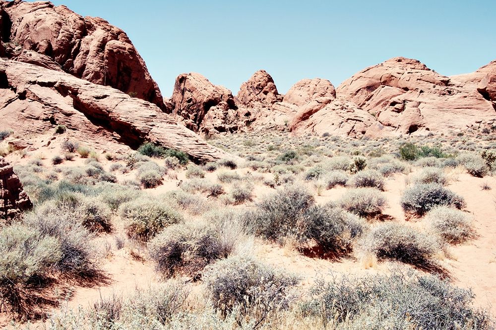 Western Views I