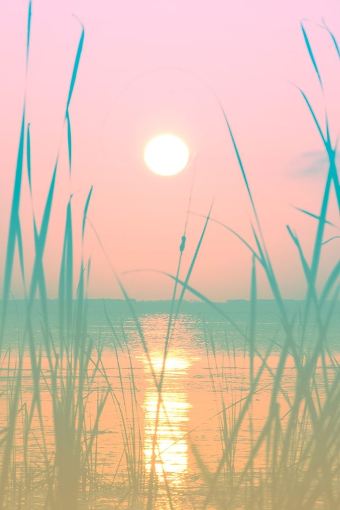 Fresh Sunset Views