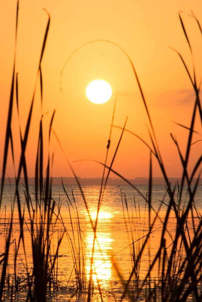 Sunset on the Lake I