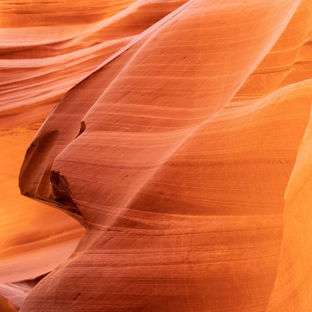 Petrified Sand Mountain II