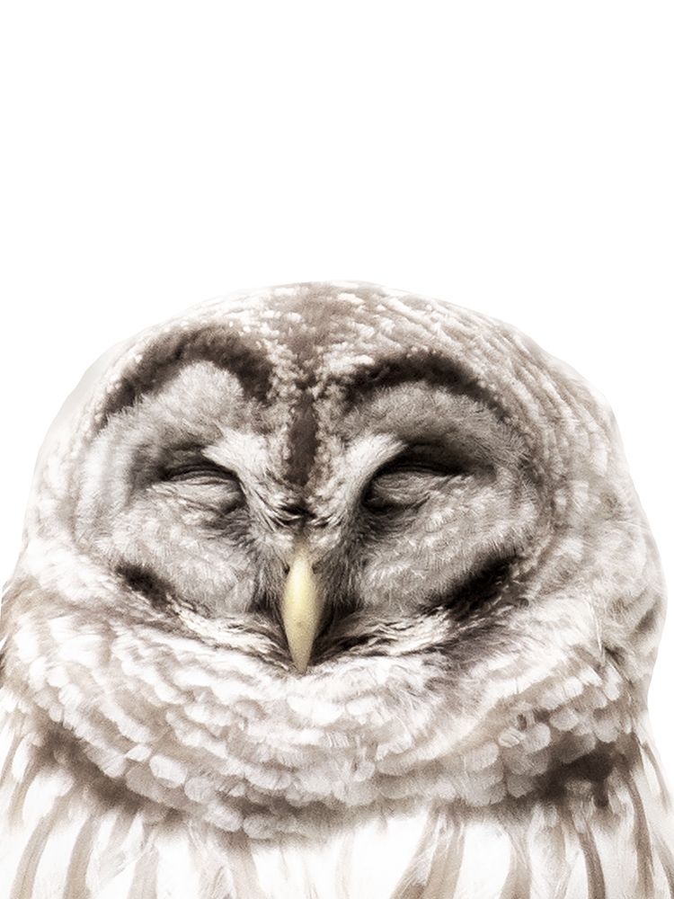Warm Feathers