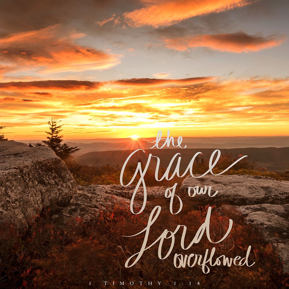 The Grace of Our Lord Overflowed