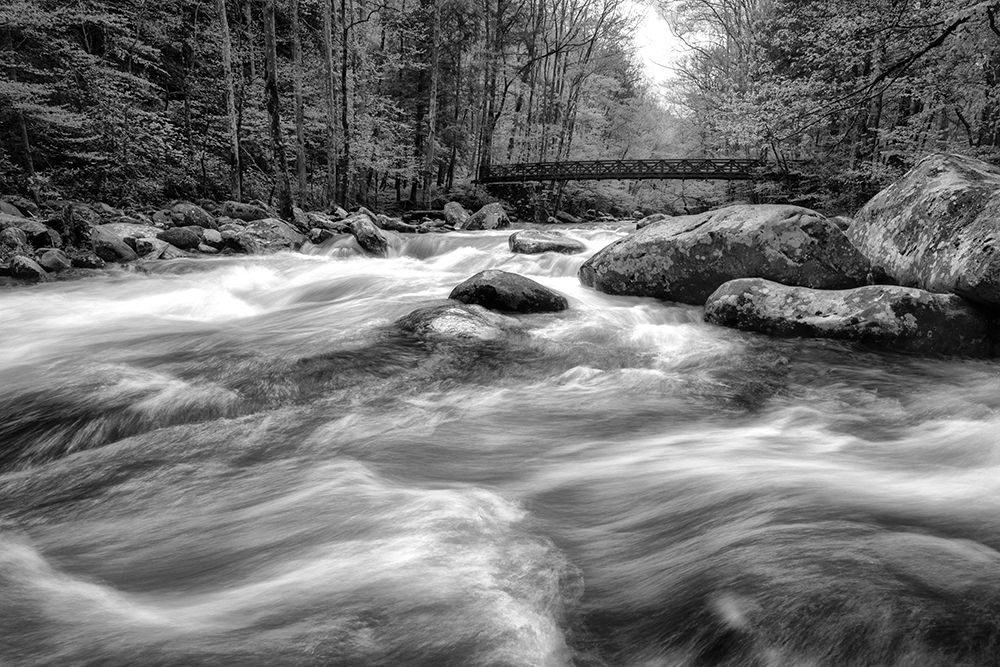 Flow Of The Creek