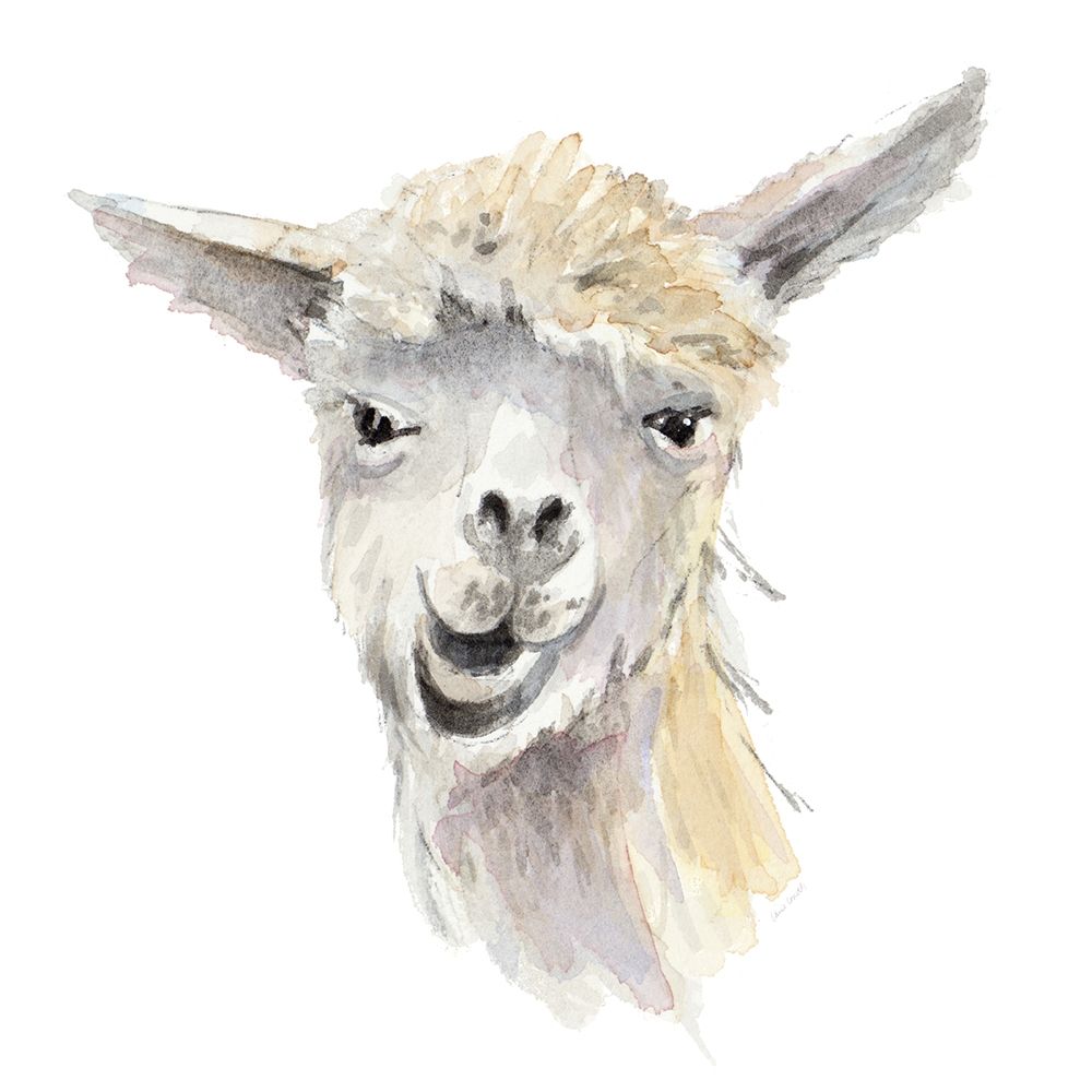 Talking Llama