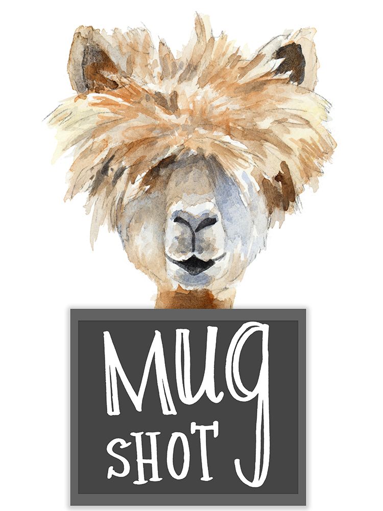 Llama Mug Shot
