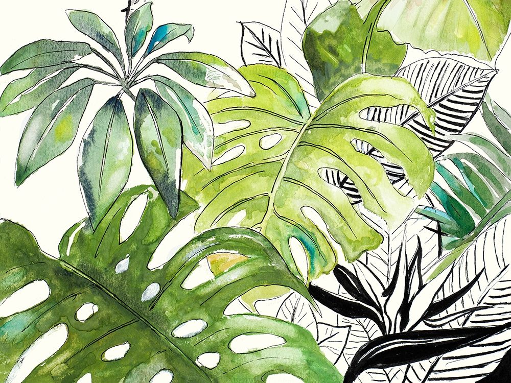 Green Palms Selva I