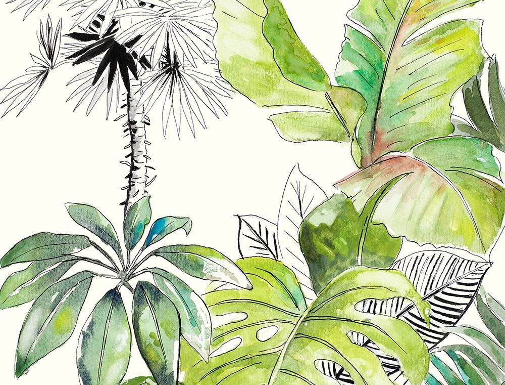 Green Palms Selva II