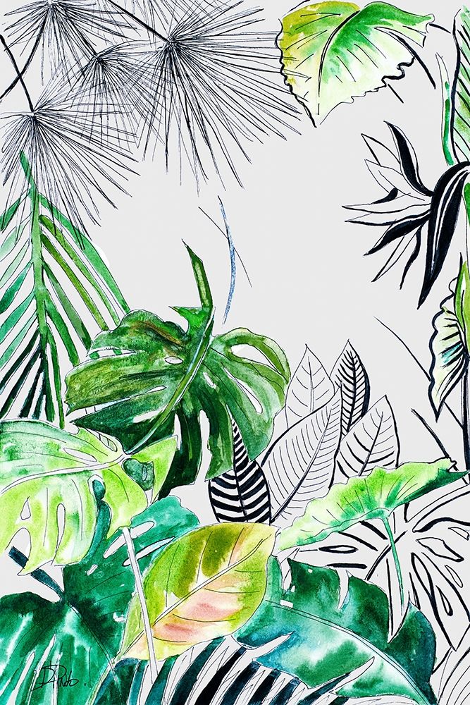 Teal Palm Selva II