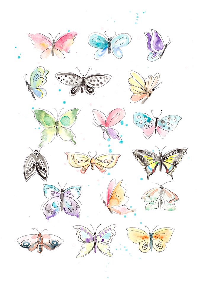 Butterfly Pattern