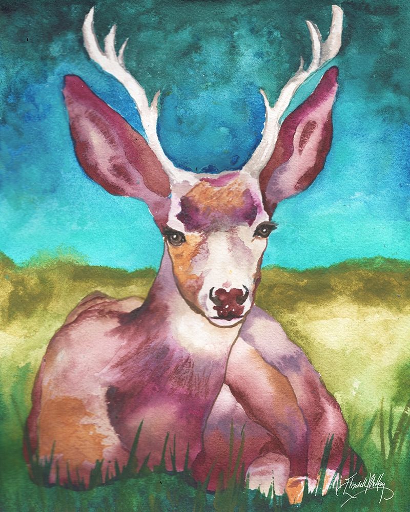 Buck In A Field I