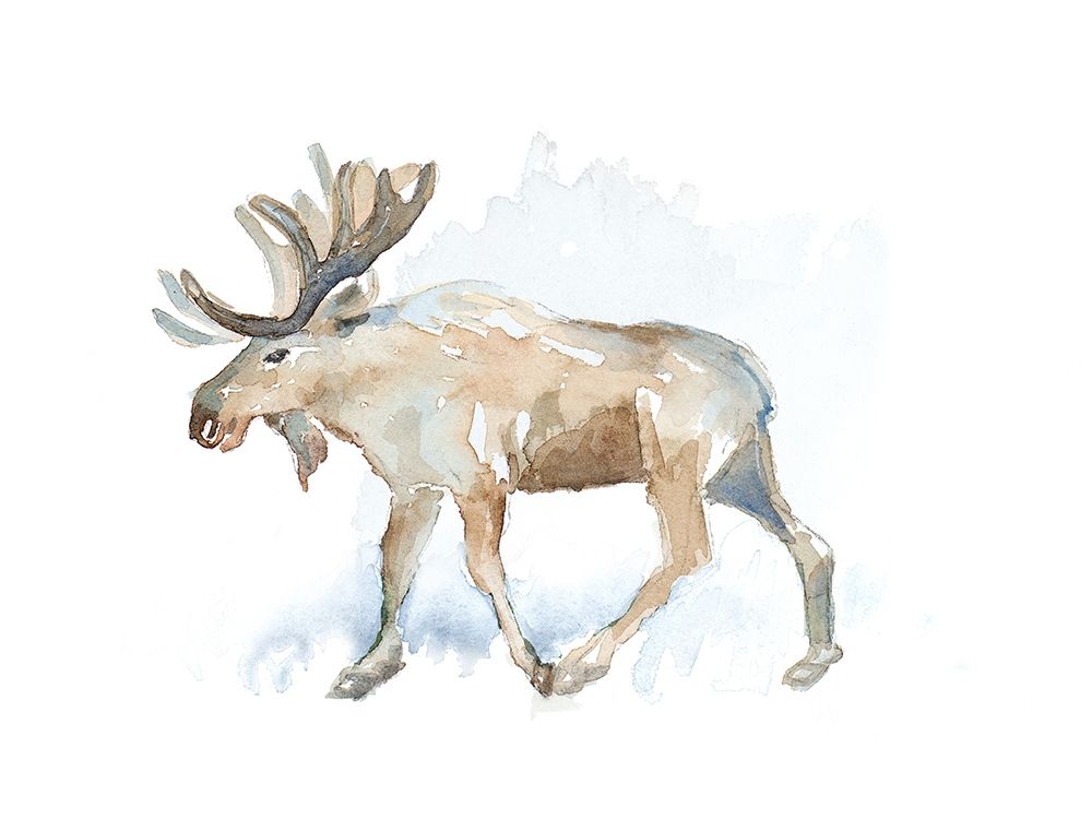 Watercolor Moose