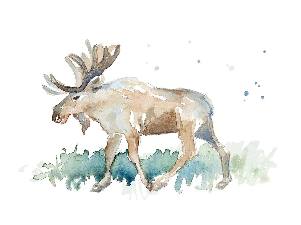 Watercolor Moose
