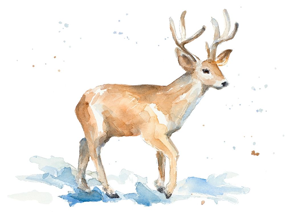 Watercolor Deer