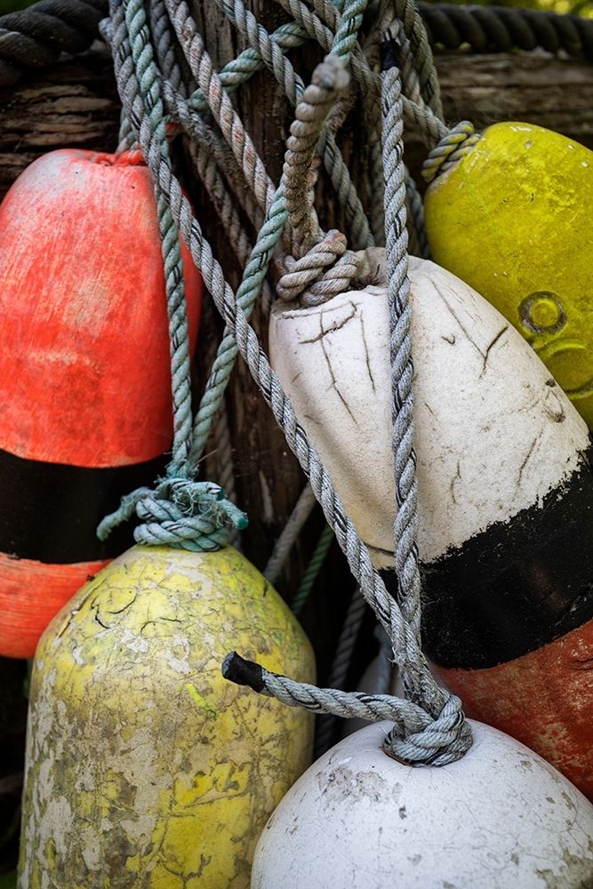 Boat Bumpers I