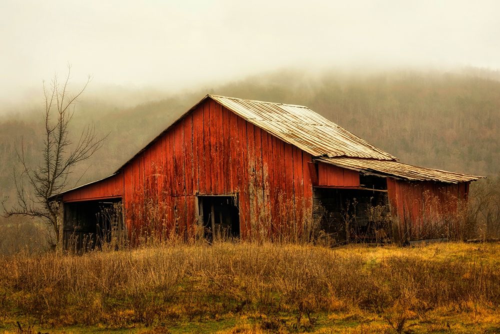 Skylight Barn in the Fog