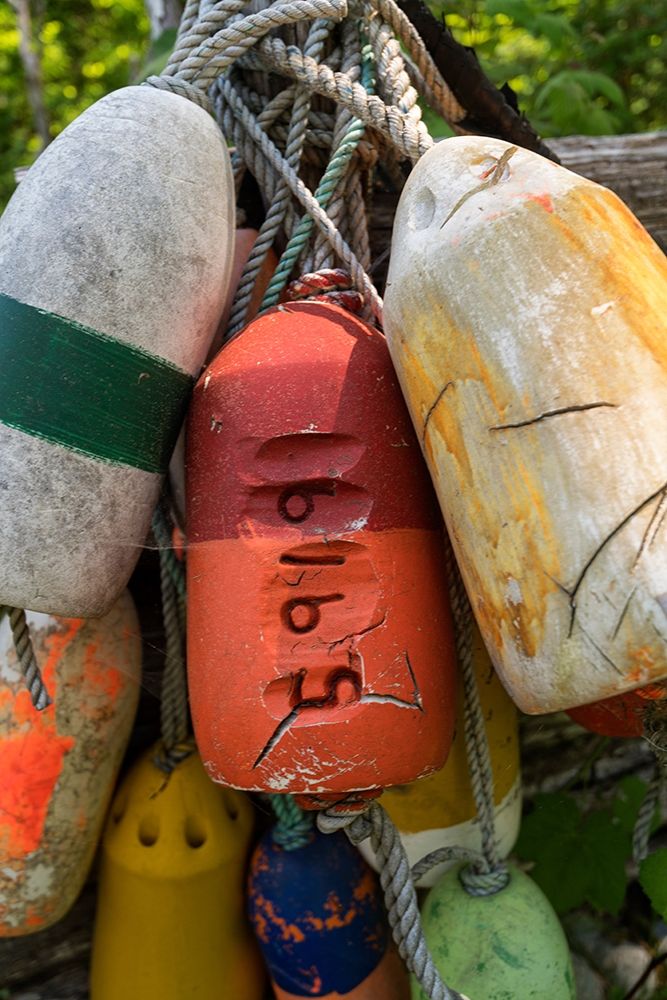 Boat Bumpers II