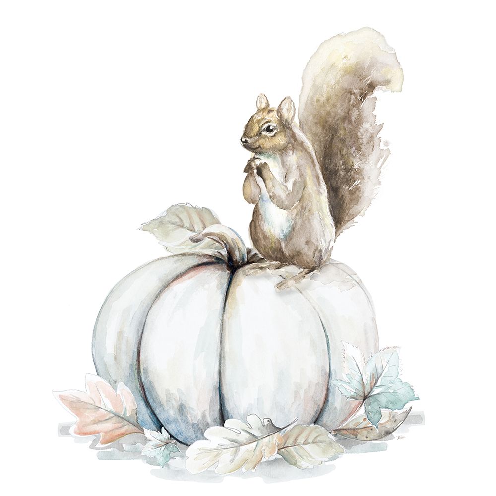 Squirrel and Pumpkin II