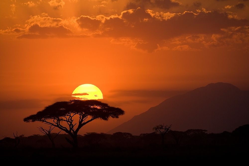 African Sunset I