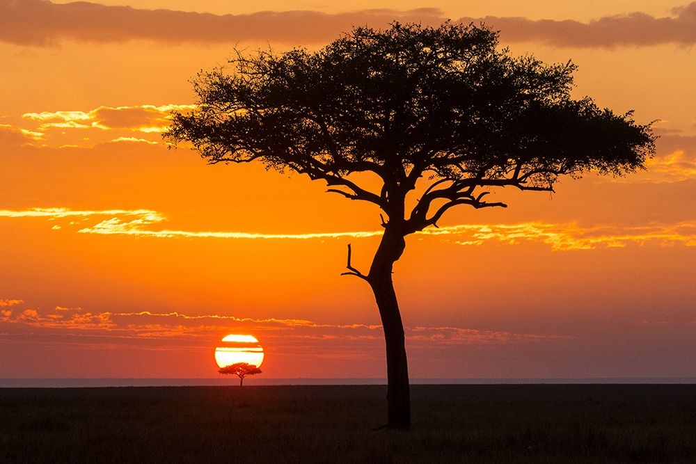 African Sunset II
