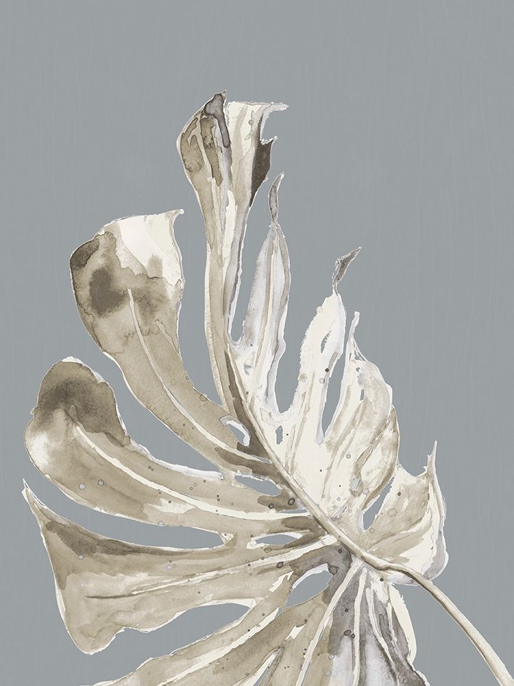 La Naturaleza on Gray II