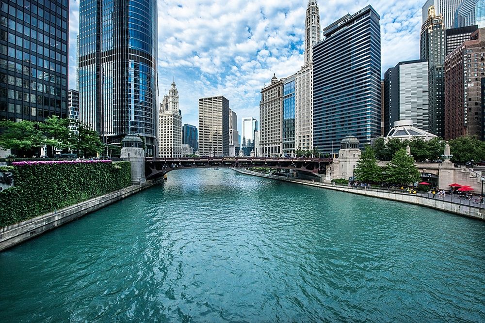 Chicago River View