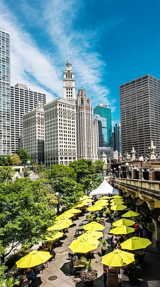 Chicago Mornings