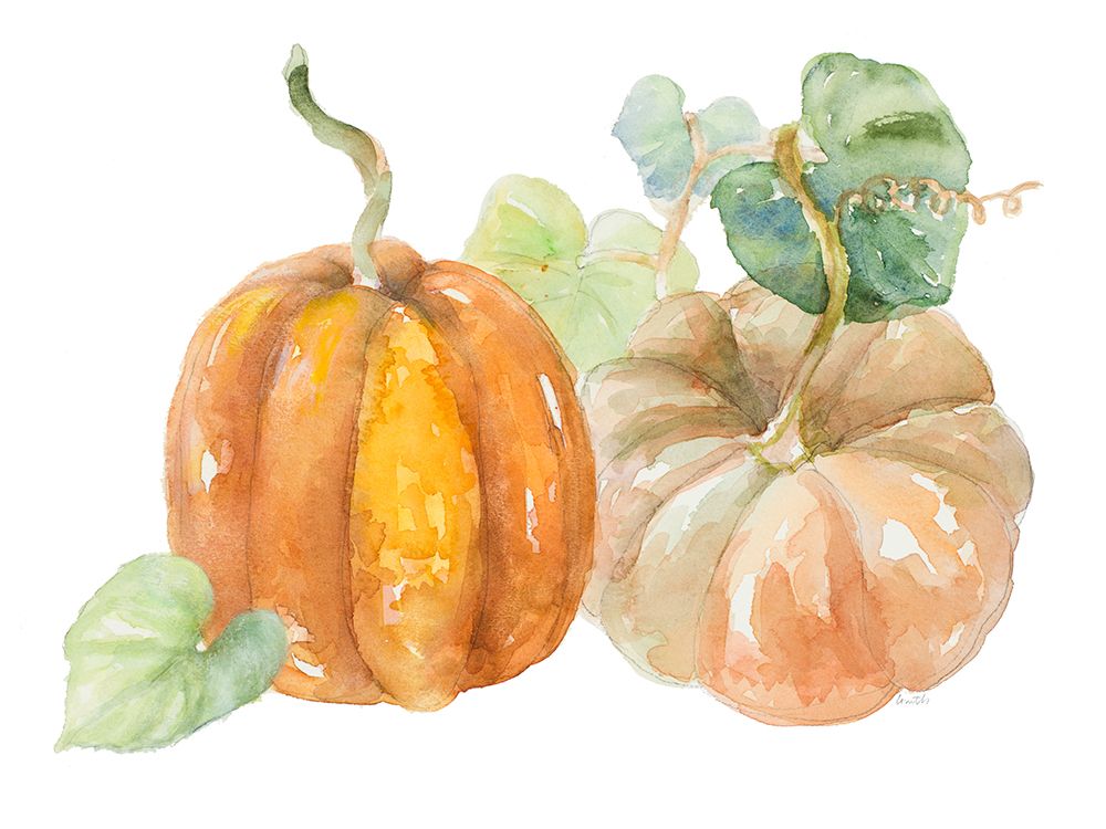 Pumpkin Harvest I