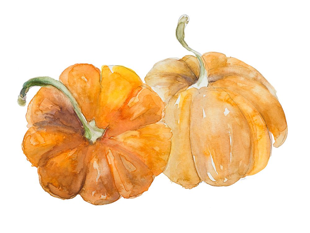 Pumpkin Harvest II