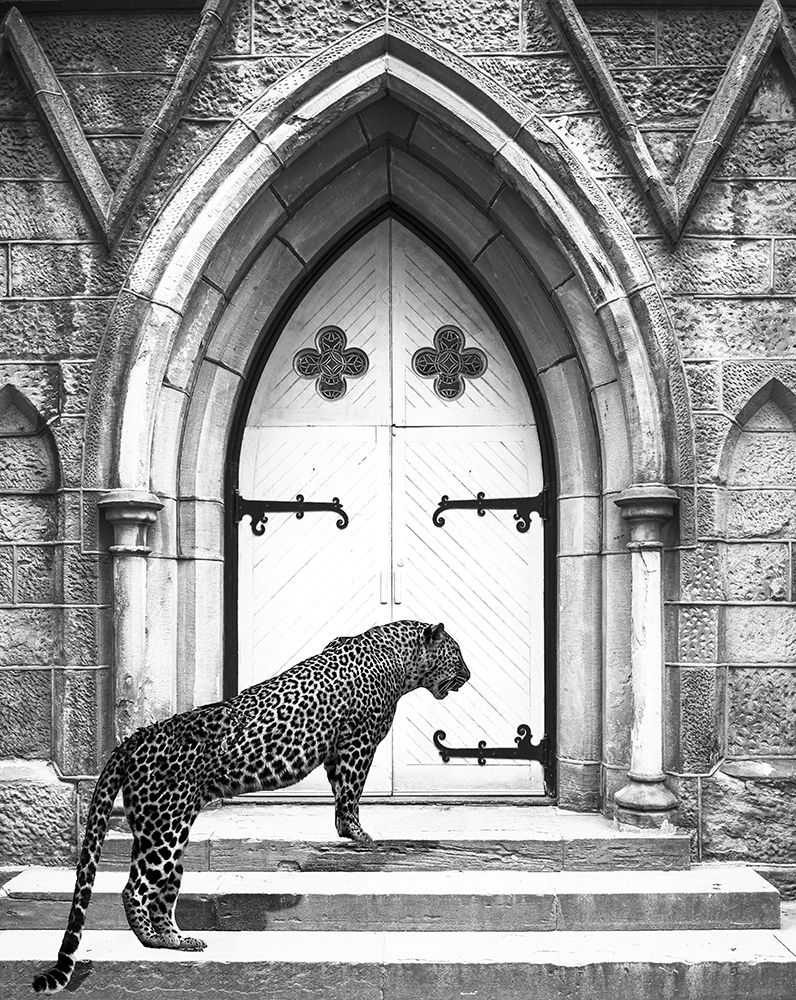 Holy Leopard