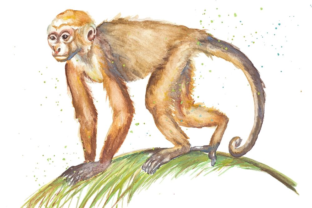 Monkeys in the Jungle II