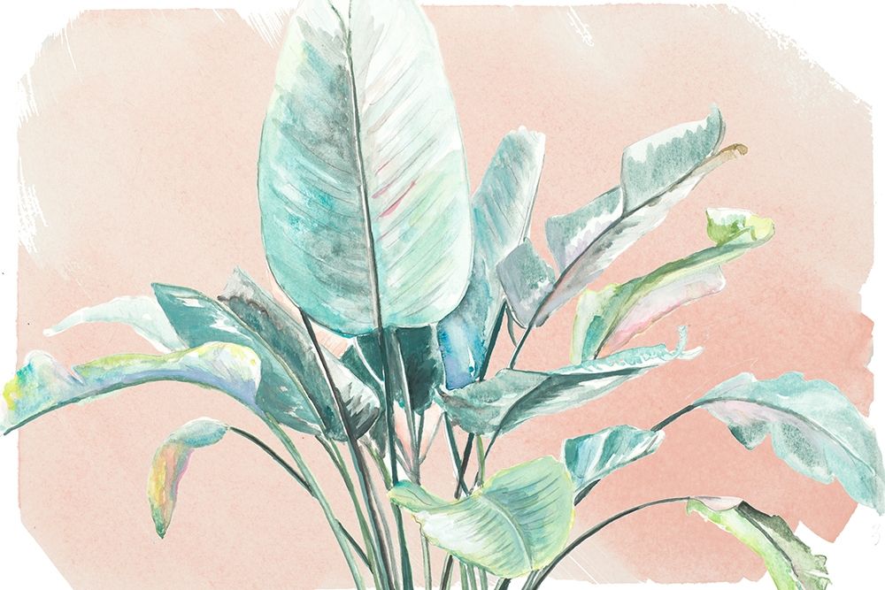 Jungle Gems on Blush II