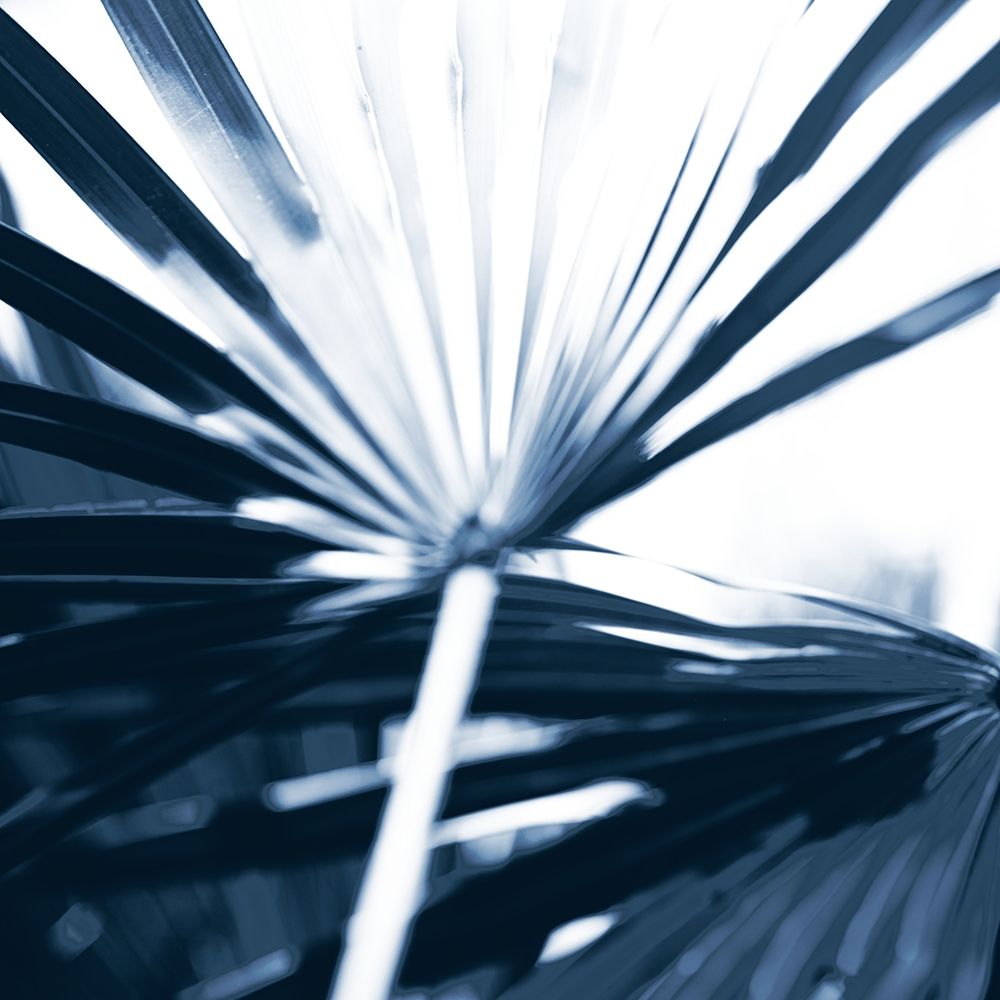 Among Blue Palms I