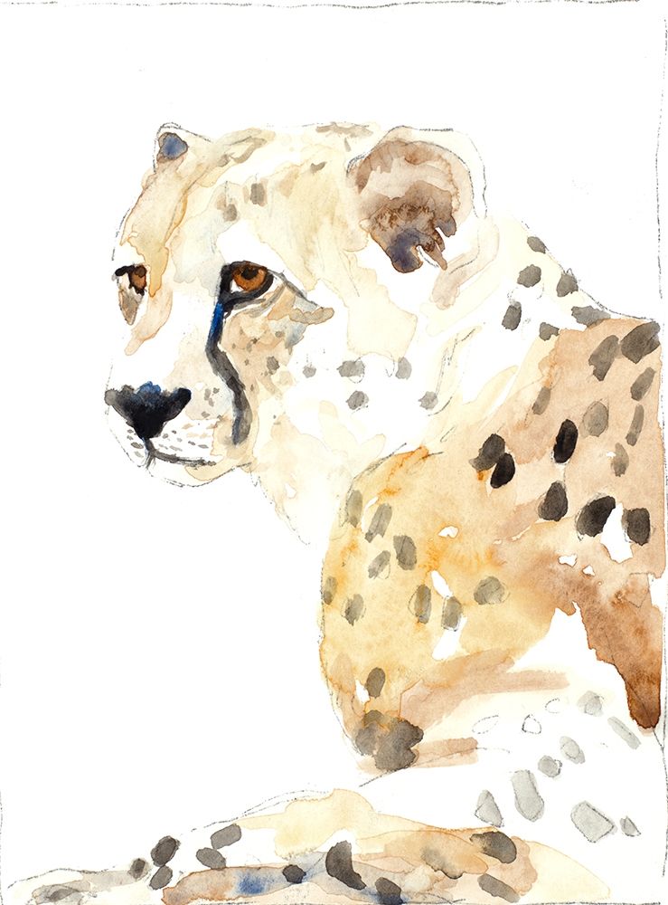 Seated Cheetah