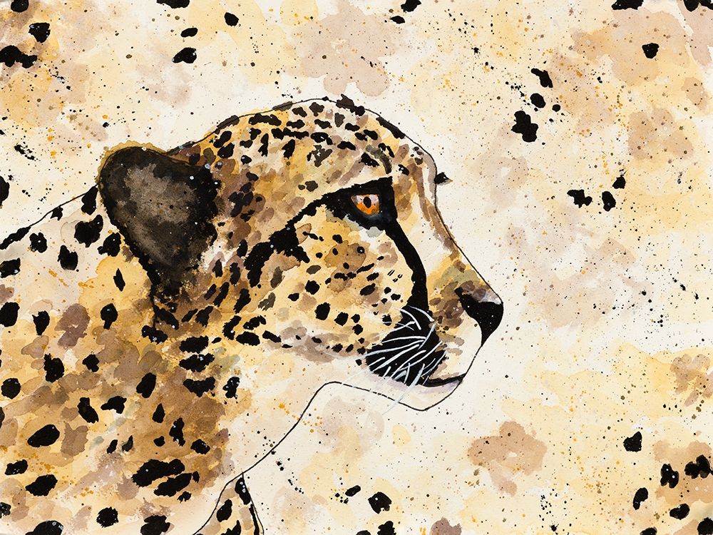 Cheetah Face
