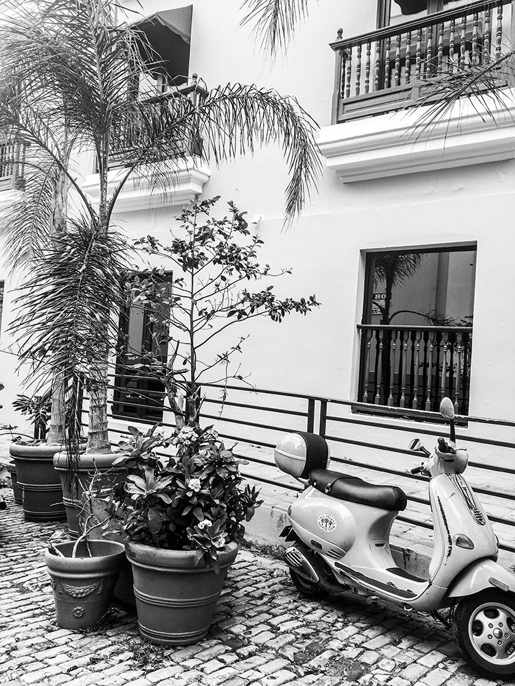 Viejo San Juan III