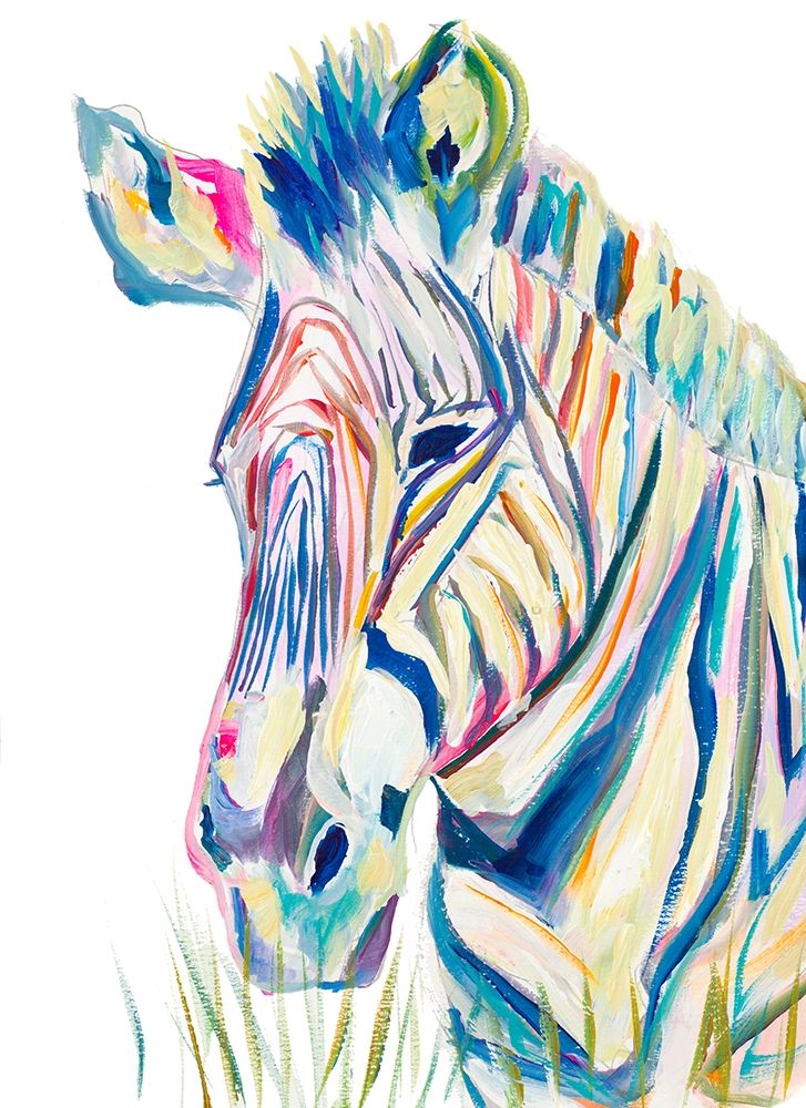 Colorful Zebra